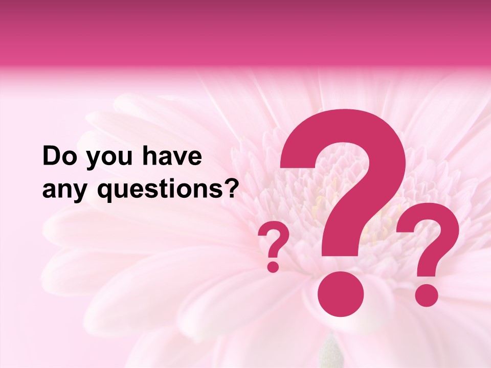 Bloom Gerbera Pink PowerPoint Template