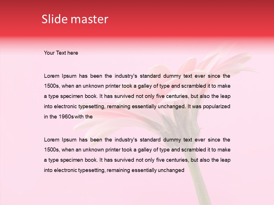 Pink Bloom Blossom PowerPoint Template