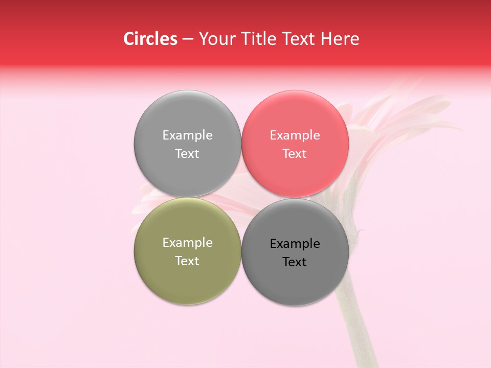 Pink Bloom Blossom PowerPoint Template