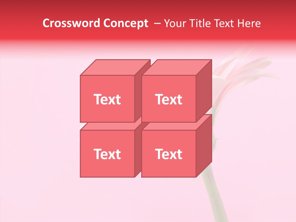 Pink Bloom Blossom PowerPoint Template