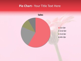 Pink Bloom Blossom PowerPoint Template