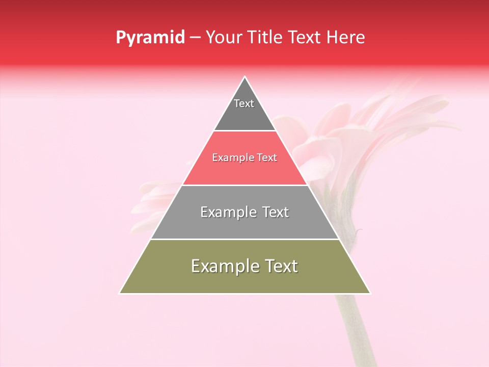 Pink Bloom Blossom PowerPoint Template