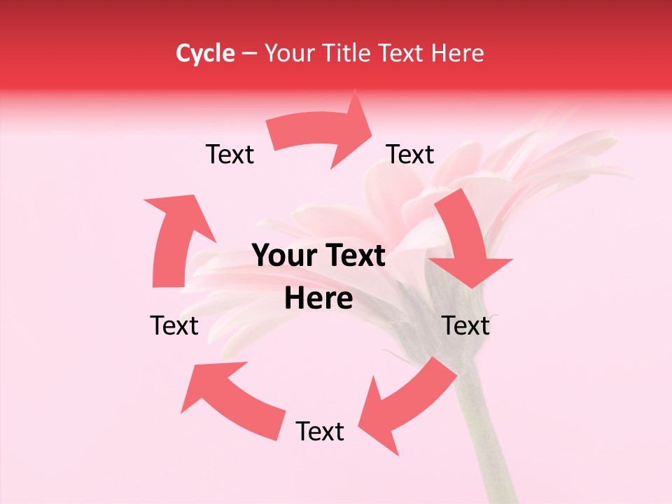 Pink Bloom Blossom PowerPoint Template