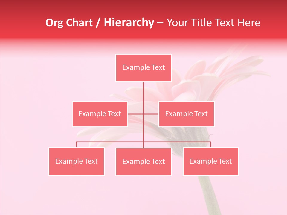 Pink Bloom Blossom PowerPoint Template