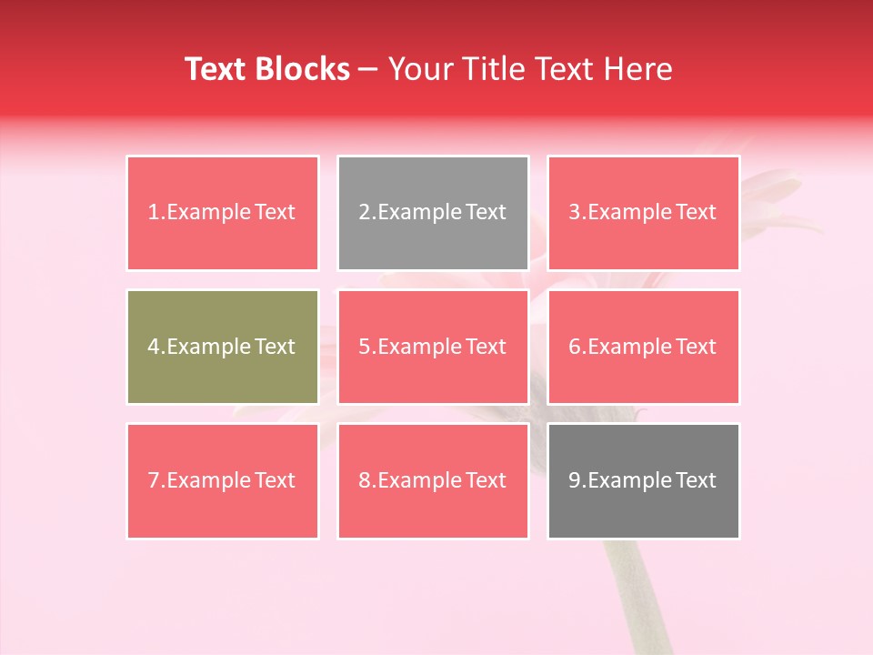 Pink Bloom Blossom PowerPoint Template