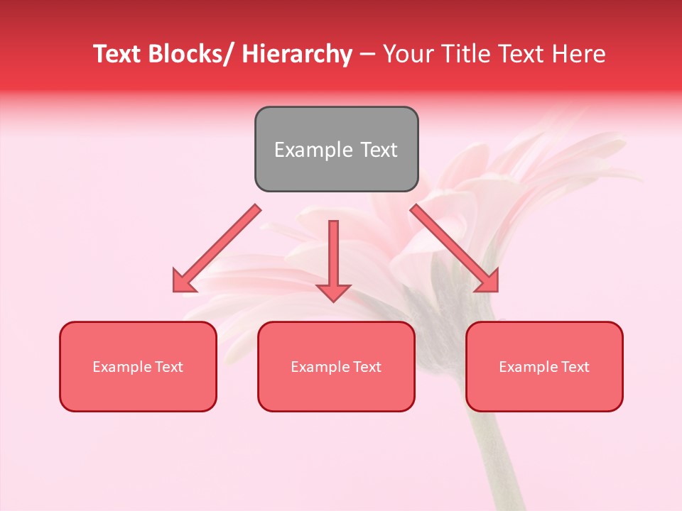 Pink Bloom Blossom PowerPoint Template