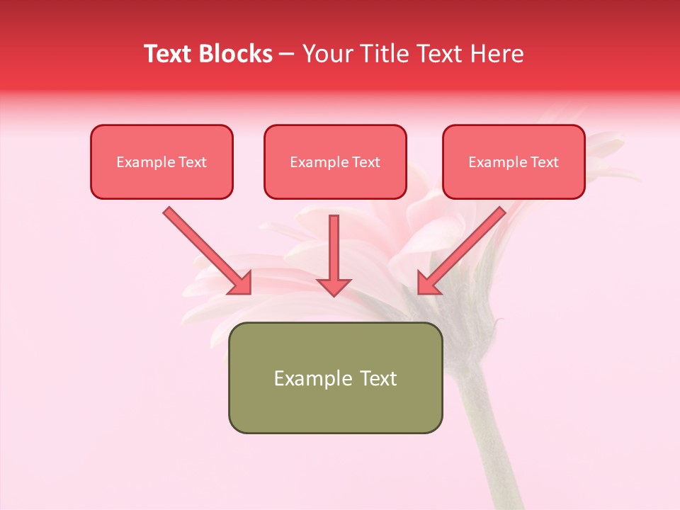 Pink Bloom Blossom PowerPoint Template