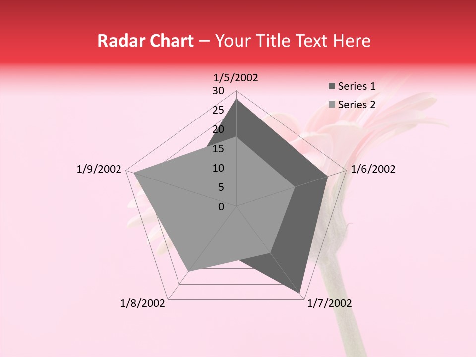 Pink Bloom Blossom PowerPoint Template