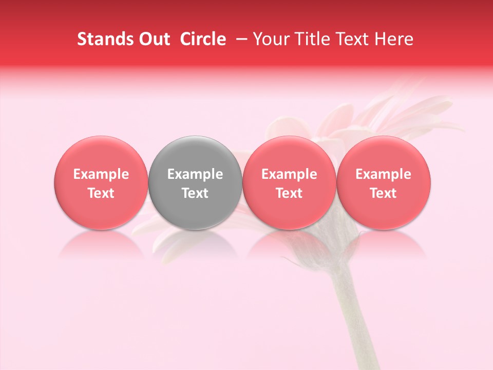 Pink Bloom Blossom PowerPoint Template