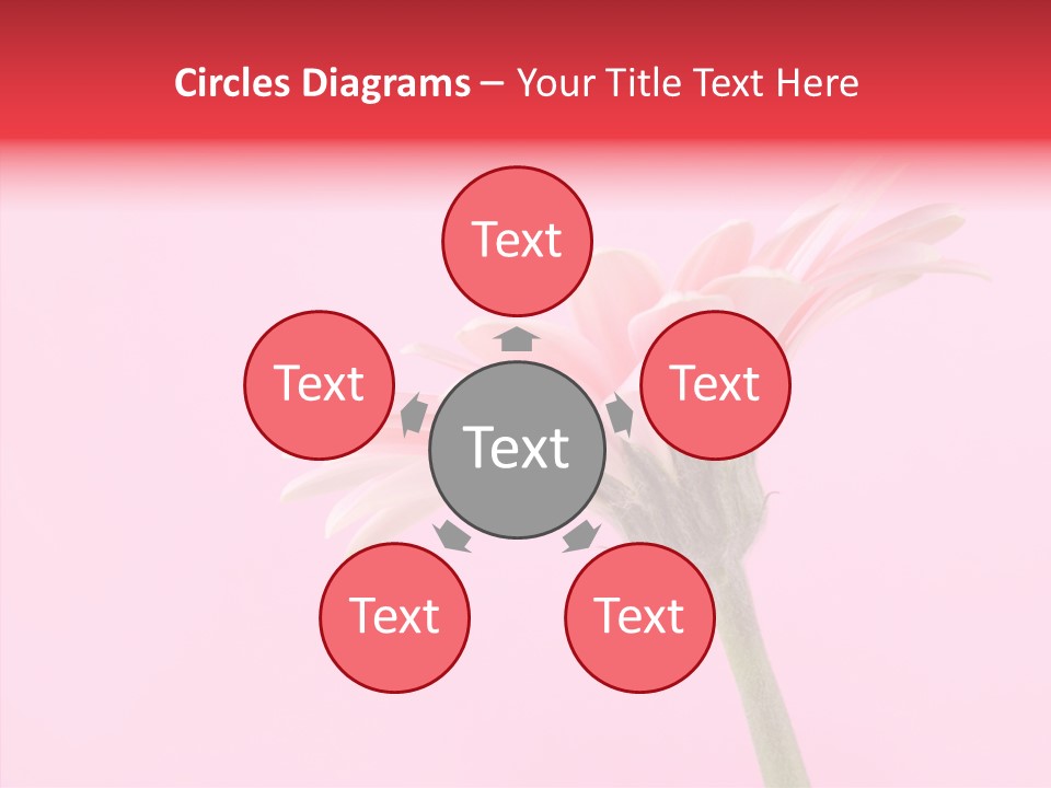 Pink Bloom Blossom PowerPoint Template