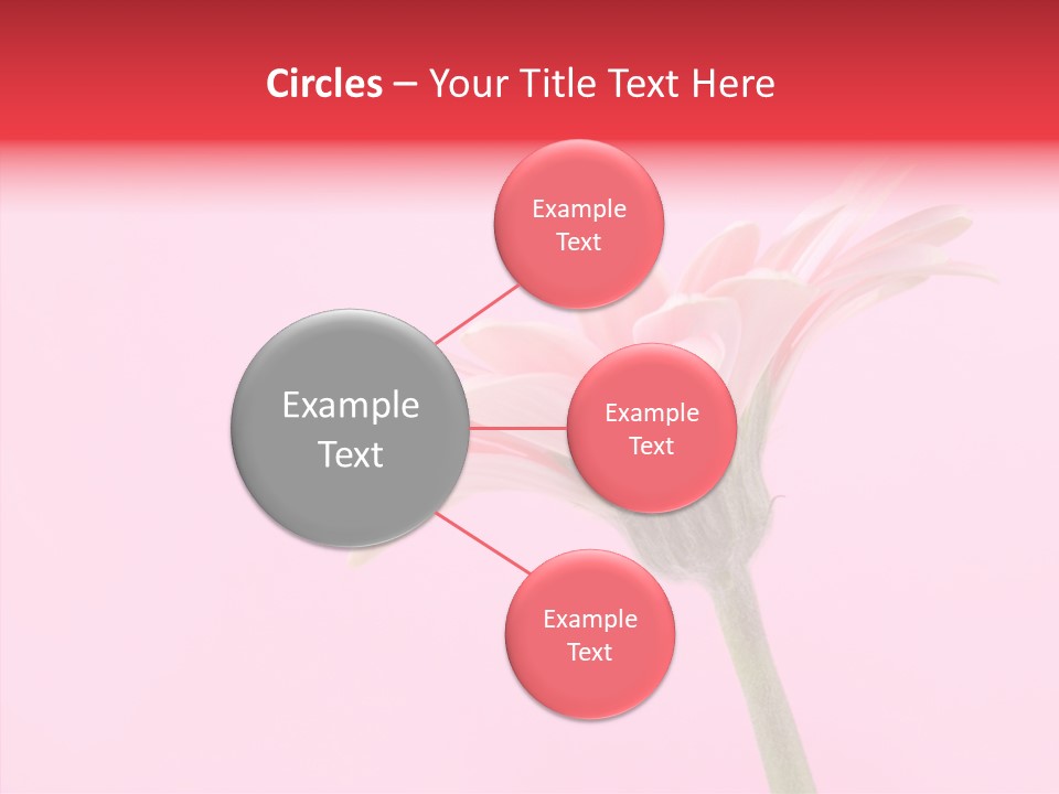 Pink Bloom Blossom PowerPoint Template