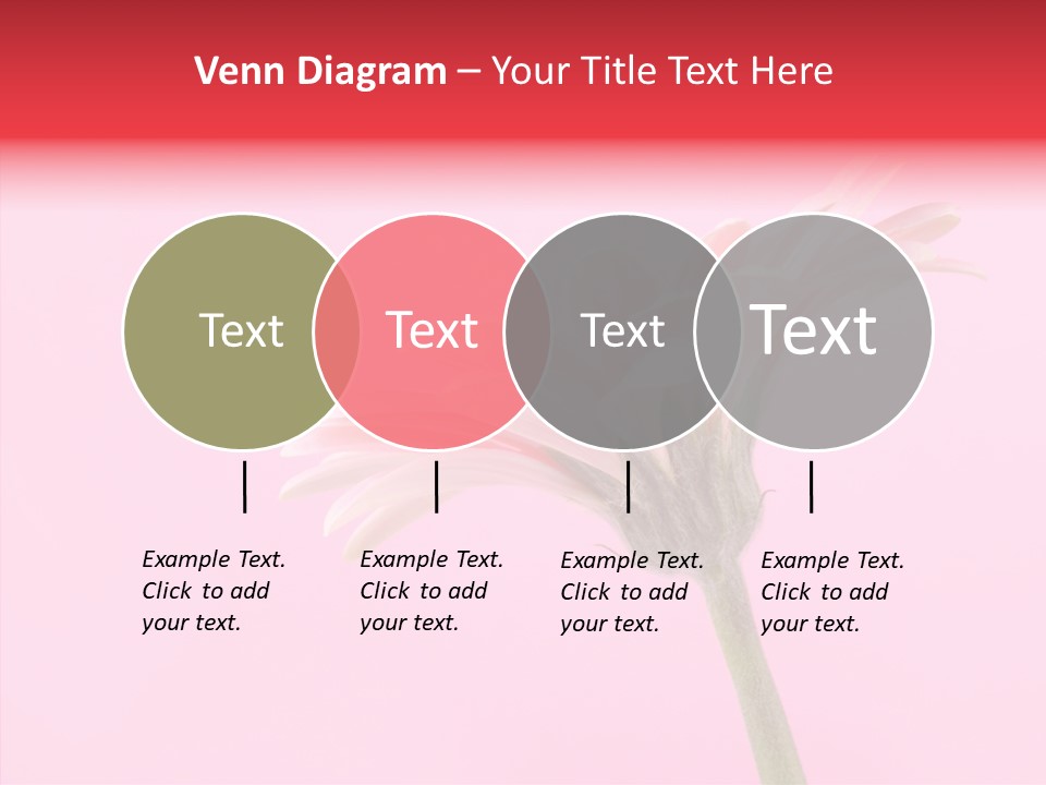 Pink Bloom Blossom PowerPoint Template