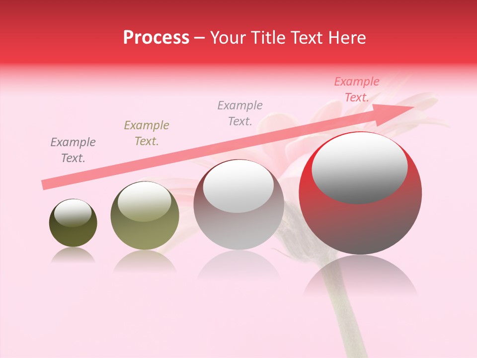 Pink Bloom Blossom PowerPoint Template