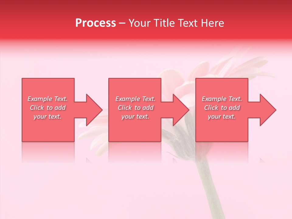 Pink Bloom Blossom PowerPoint Template