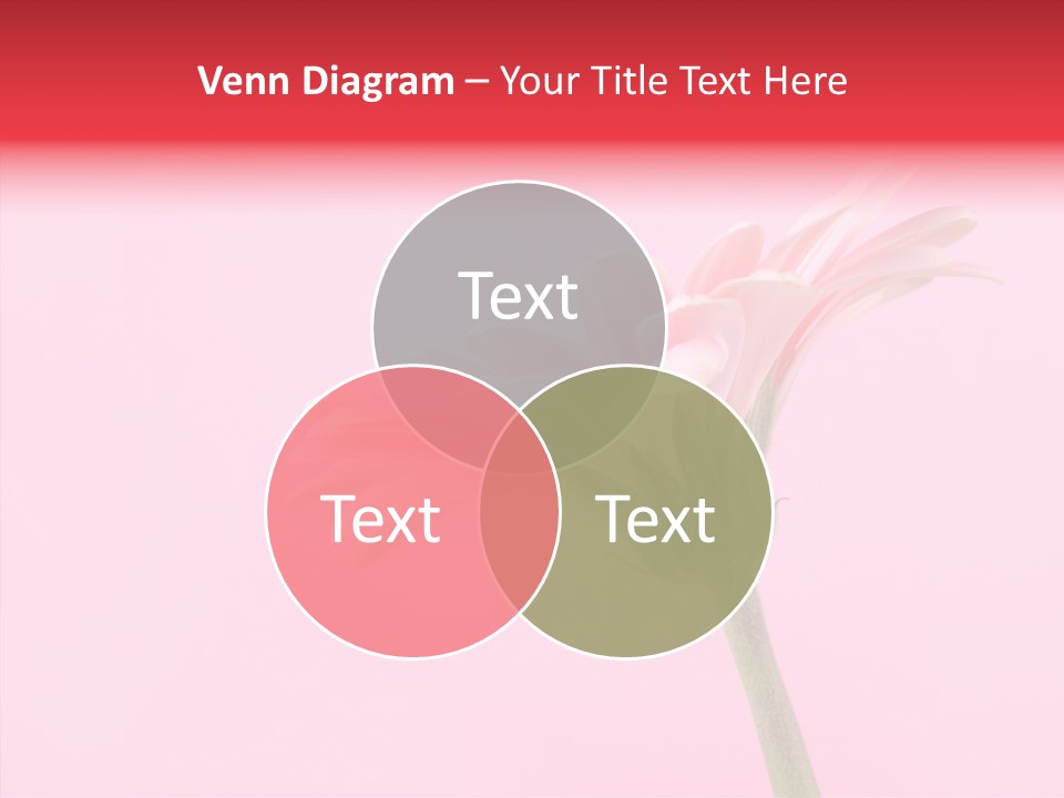 Pink Bloom Blossom PowerPoint Template