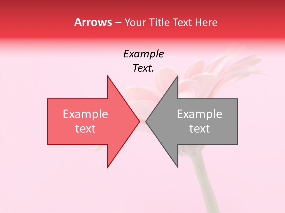 Pink Bloom Blossom PowerPoint Template