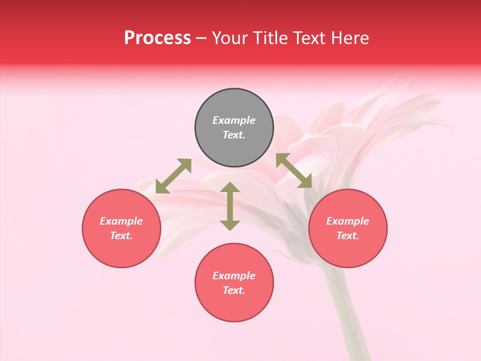 Pink Bloom Blossom PowerPoint Template