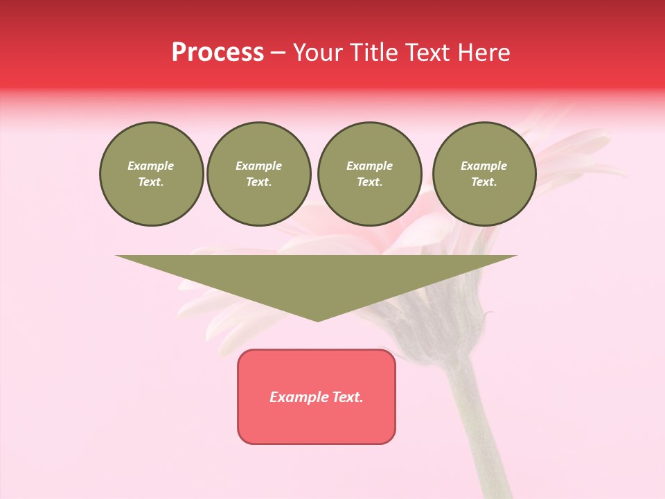 Pink Bloom Blossom PowerPoint Template