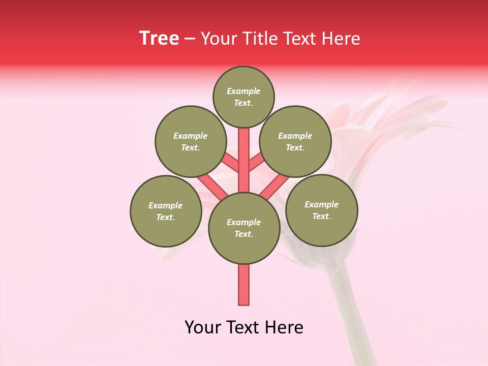 Pink Bloom Blossom PowerPoint Template