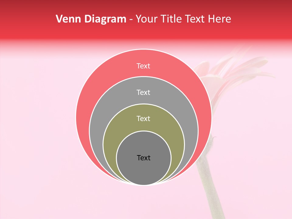 Pink Bloom Blossom PowerPoint Template