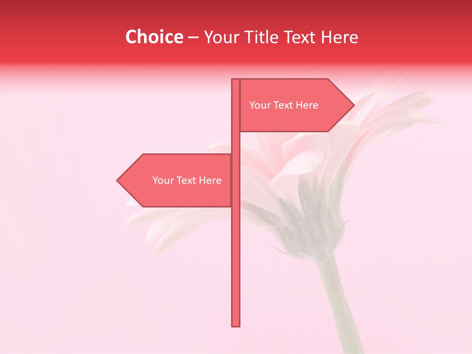 Pink Bloom Blossom PowerPoint Template