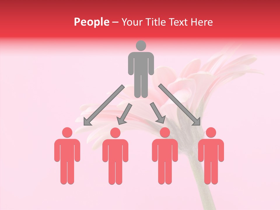 Pink Bloom Blossom PowerPoint Template