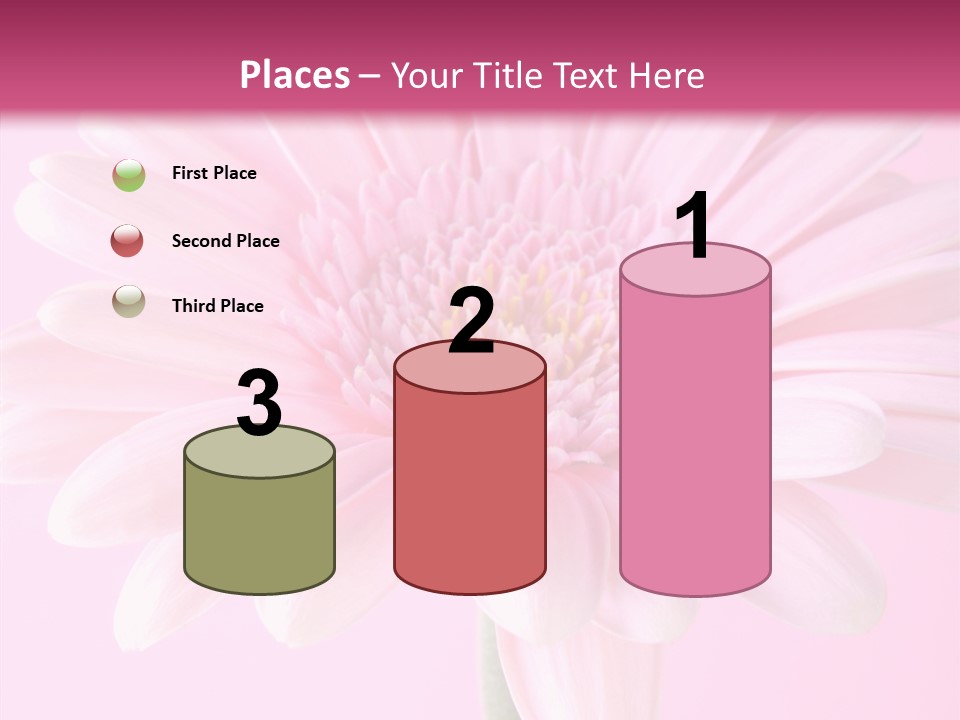 Daisy Circle Gerbera PowerPoint Template