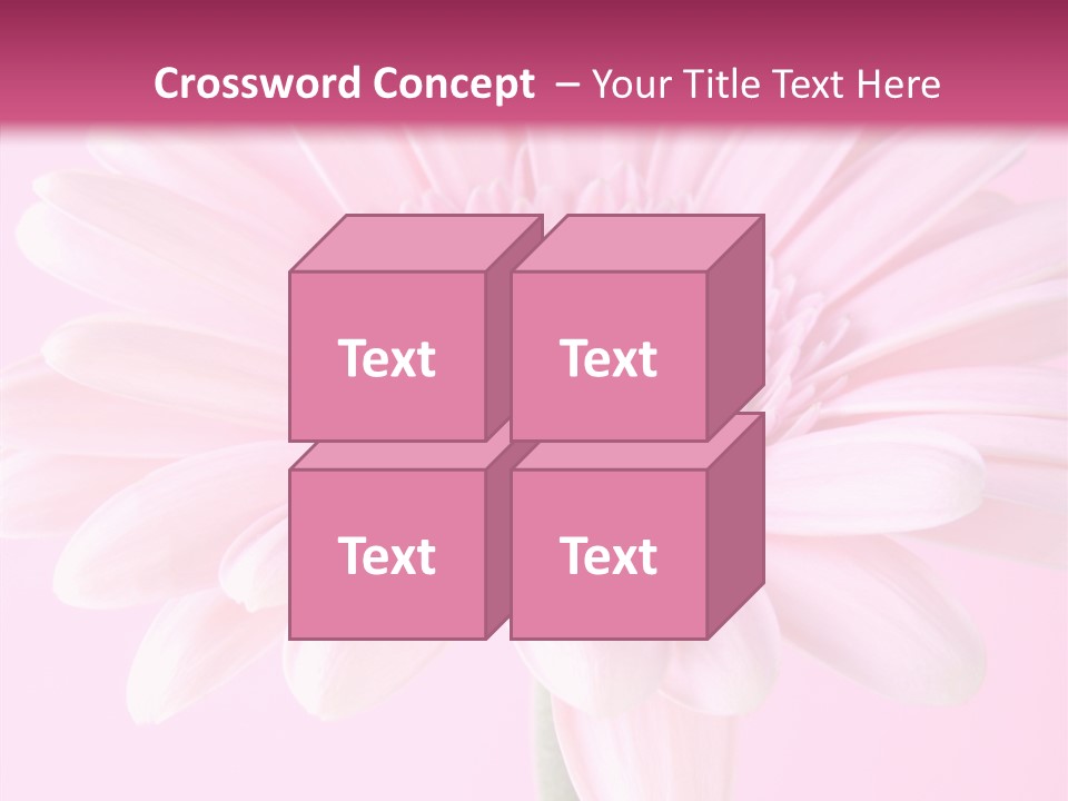 Daisy Circle Gerbera PowerPoint Template