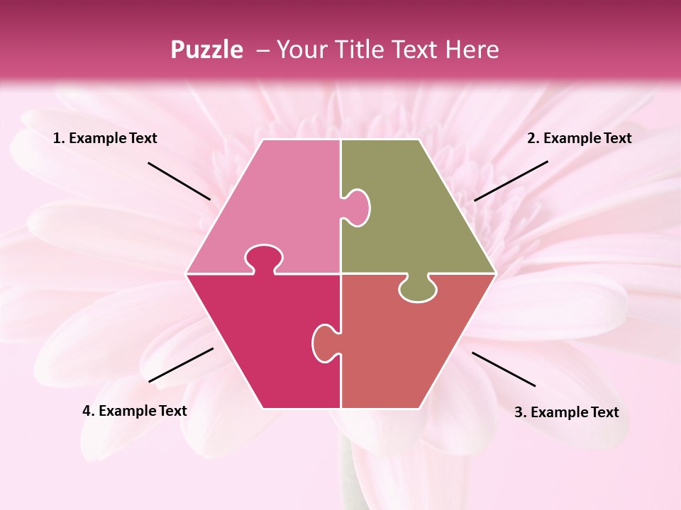 Daisy Circle Gerbera PowerPoint Template