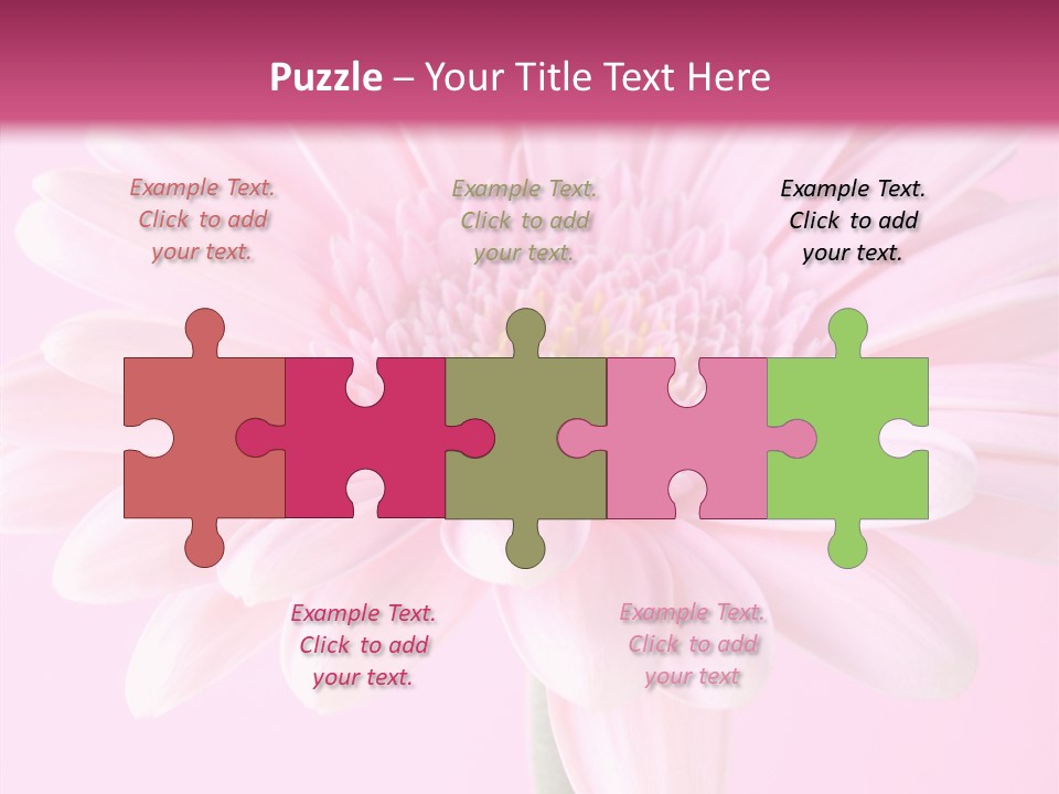 Daisy Circle Gerbera PowerPoint Template