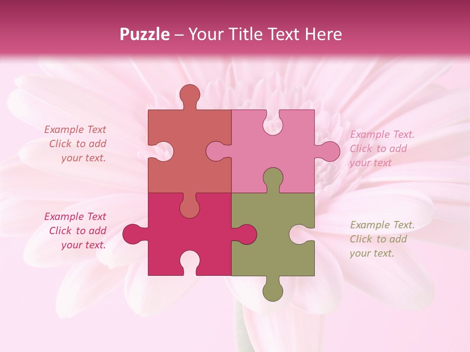 Daisy Circle Gerbera PowerPoint Template