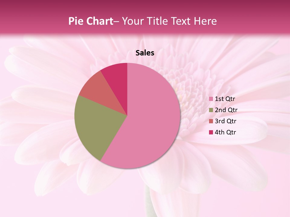 Daisy Circle Gerbera PowerPoint Template