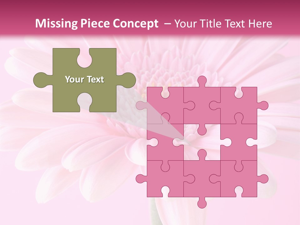 Daisy Circle Gerbera PowerPoint Template