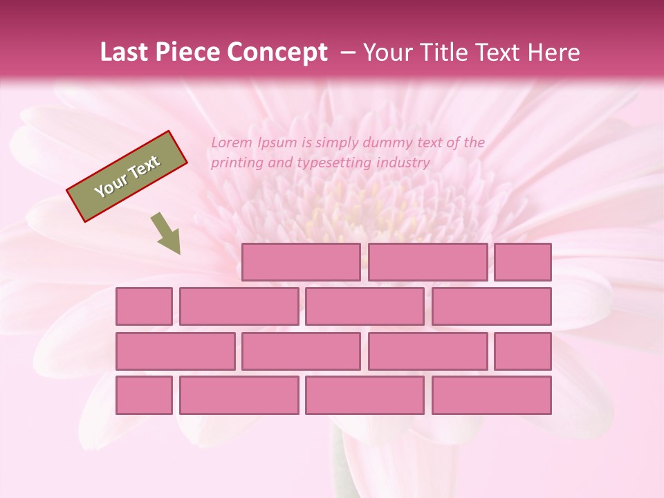 Daisy Circle Gerbera PowerPoint Template