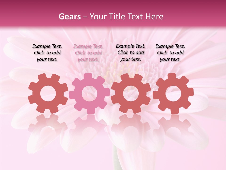 Daisy Circle Gerbera PowerPoint Template