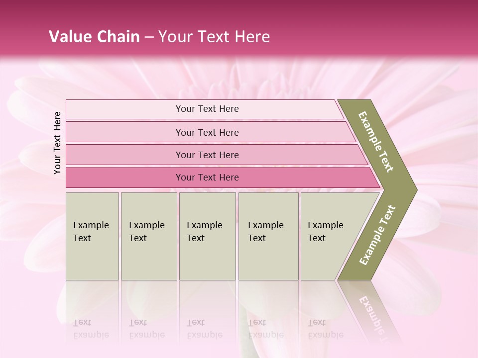 Daisy Circle Gerbera PowerPoint Template