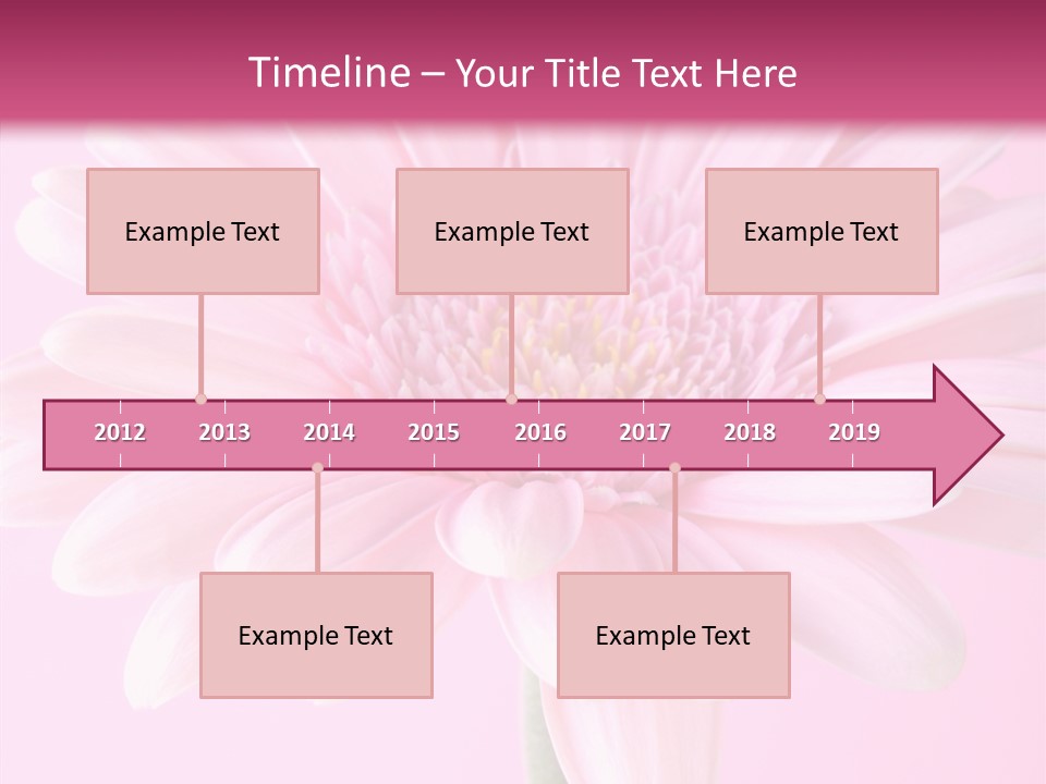 Daisy Circle Gerbera PowerPoint Template