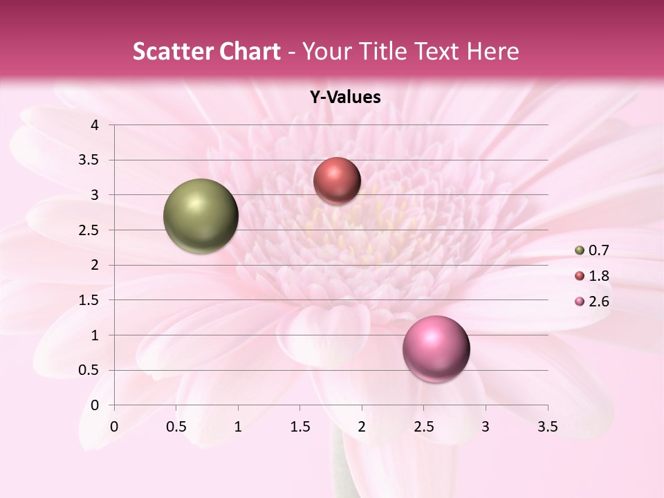 Daisy Circle Gerbera PowerPoint Template