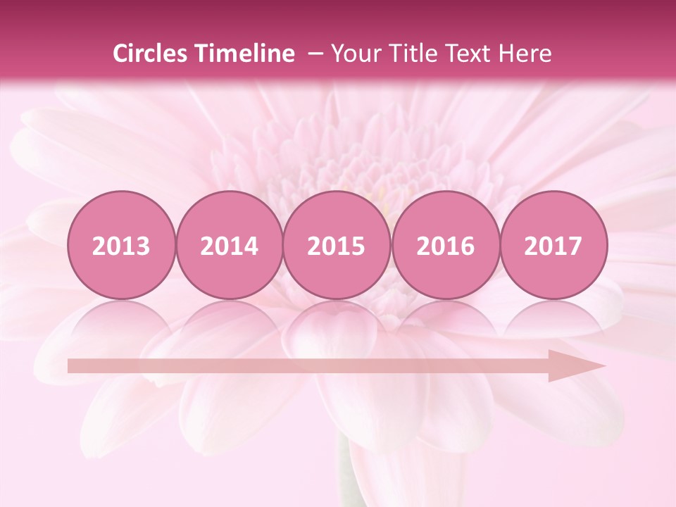 Daisy Circle Gerbera PowerPoint Template