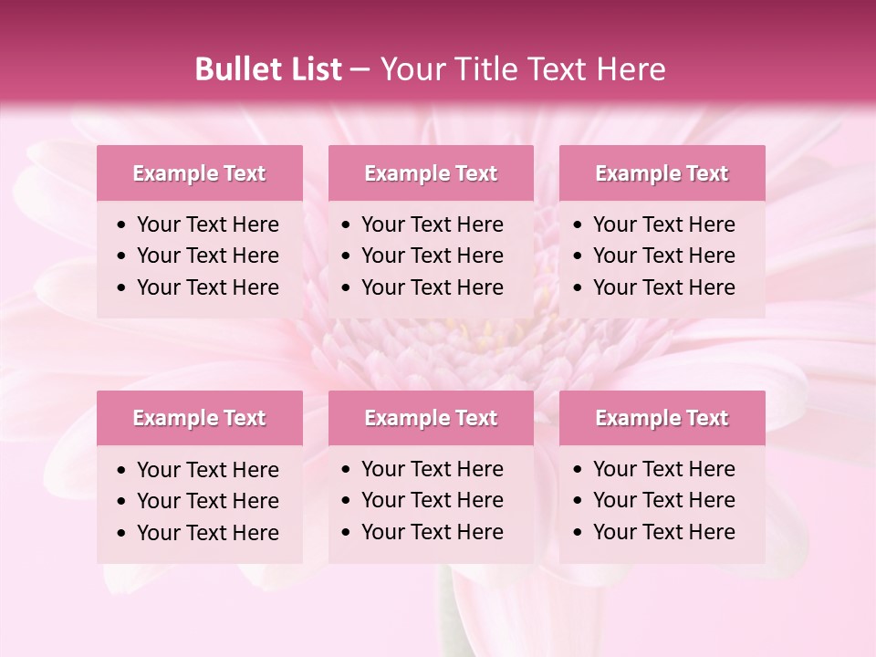 Daisy Circle Gerbera PowerPoint Template