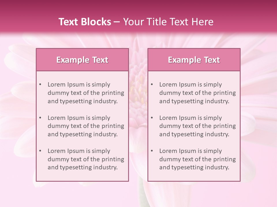 Daisy Circle Gerbera PowerPoint Template
