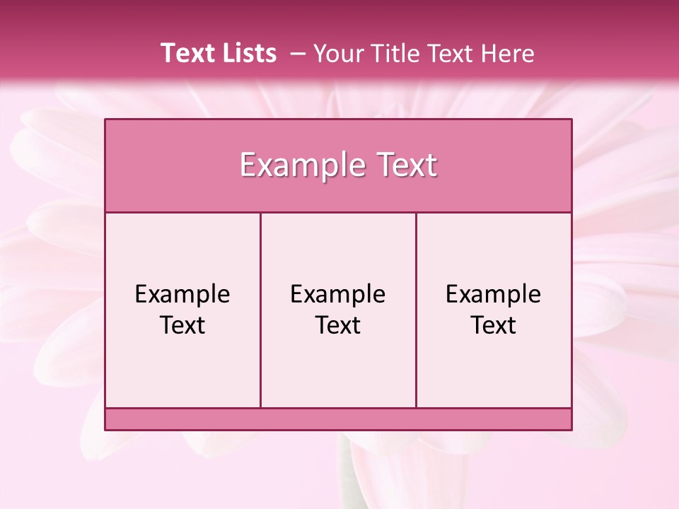 Daisy Circle Gerbera PowerPoint Template