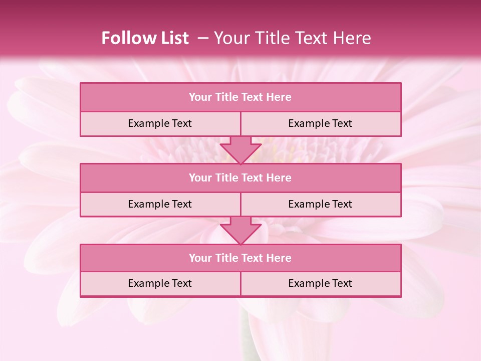 Daisy Circle Gerbera PowerPoint Template