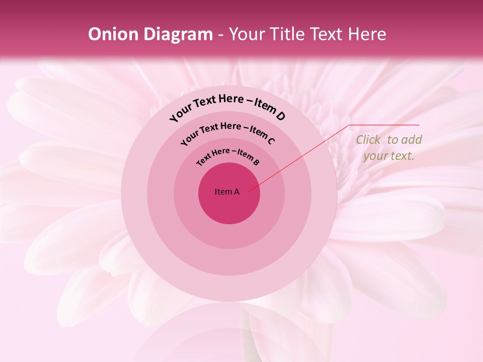 Daisy Circle Gerbera PowerPoint Template