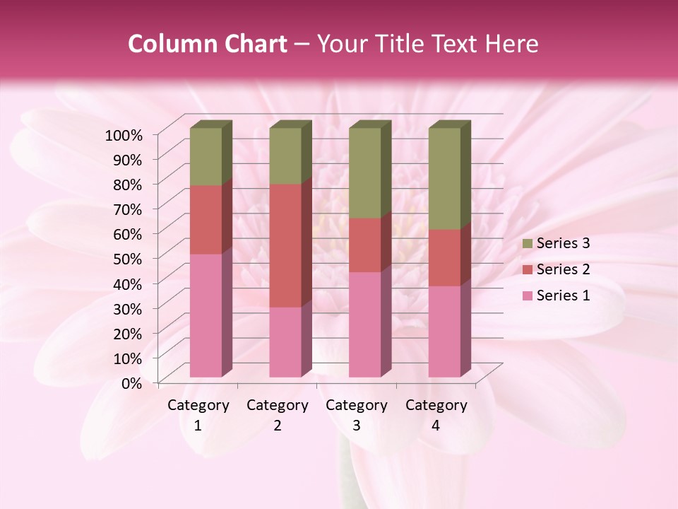 Daisy Circle Gerbera PowerPoint Template