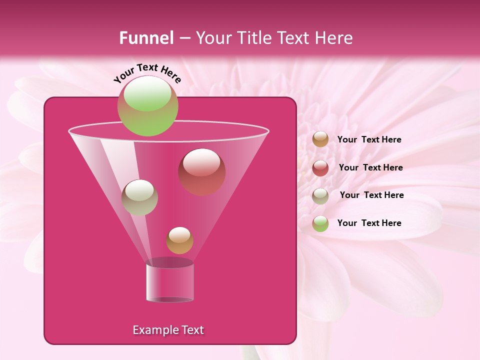 Daisy Circle Gerbera PowerPoint Template