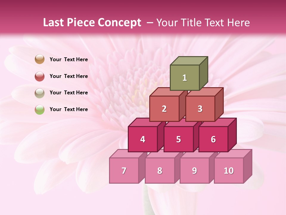 Daisy Circle Gerbera PowerPoint Template