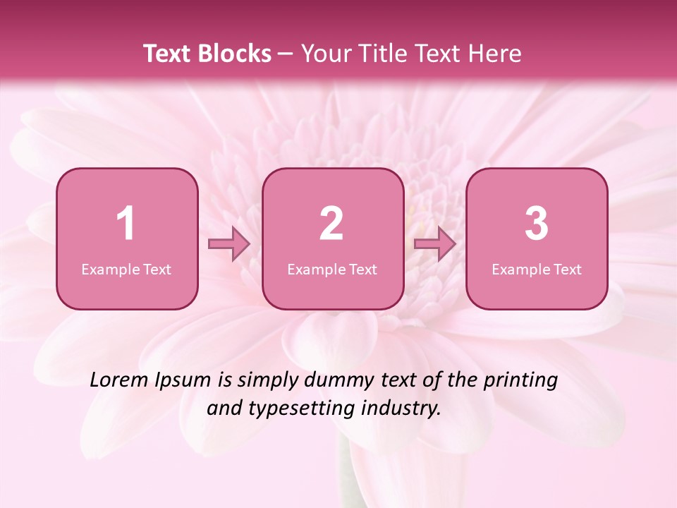 Daisy Circle Gerbera PowerPoint Template
