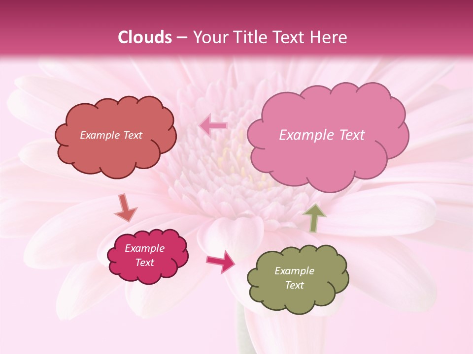Daisy Circle Gerbera PowerPoint Template