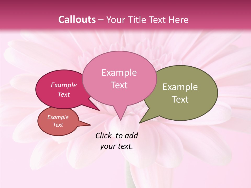 Daisy Circle Gerbera PowerPoint Template